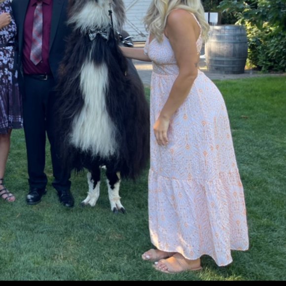 GORGEOUS Orange/ White Dress from Loft, Perfect for Wedding - Picture 7 of 9